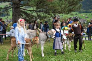 Fr Zchternachwuchs ist gesorgt